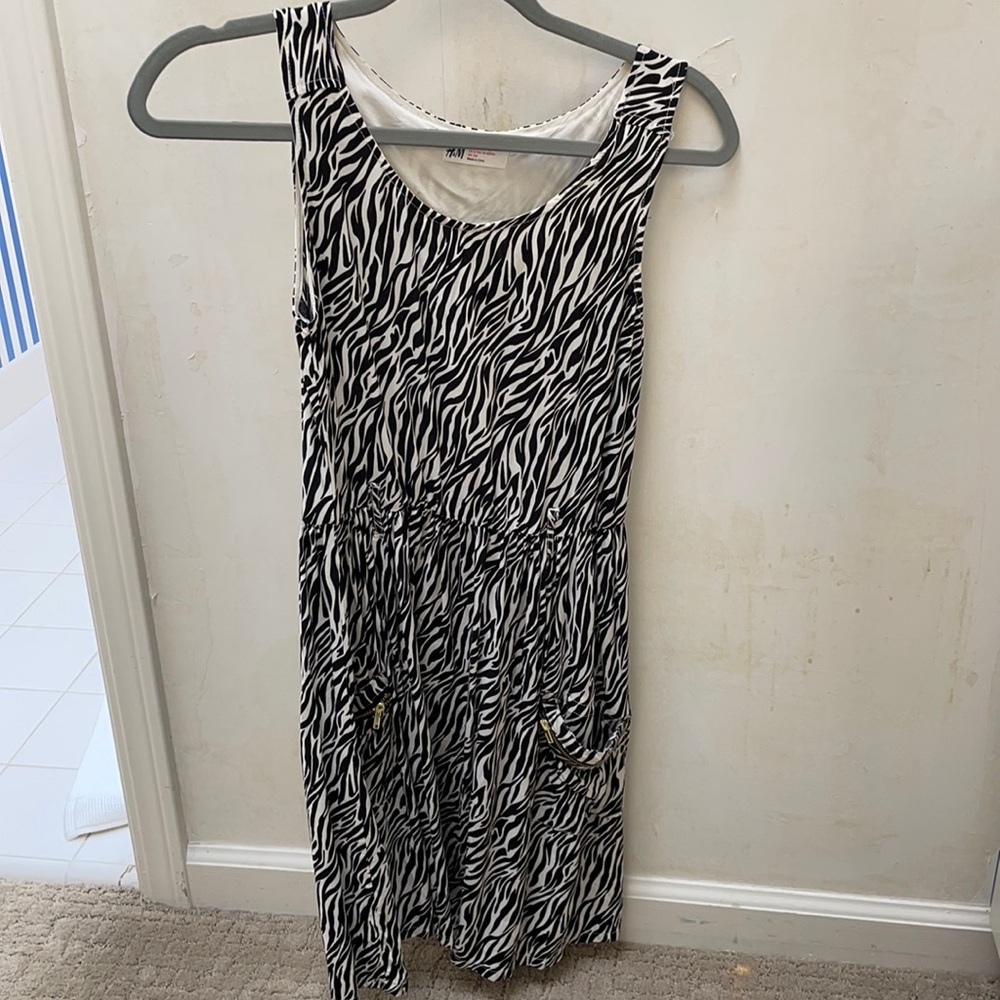 H&M Zebra Skater Dress